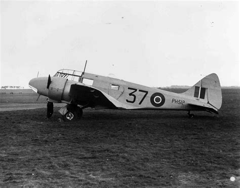 amy johnson dolphin|SEARCHING – Amy Johnson Project.